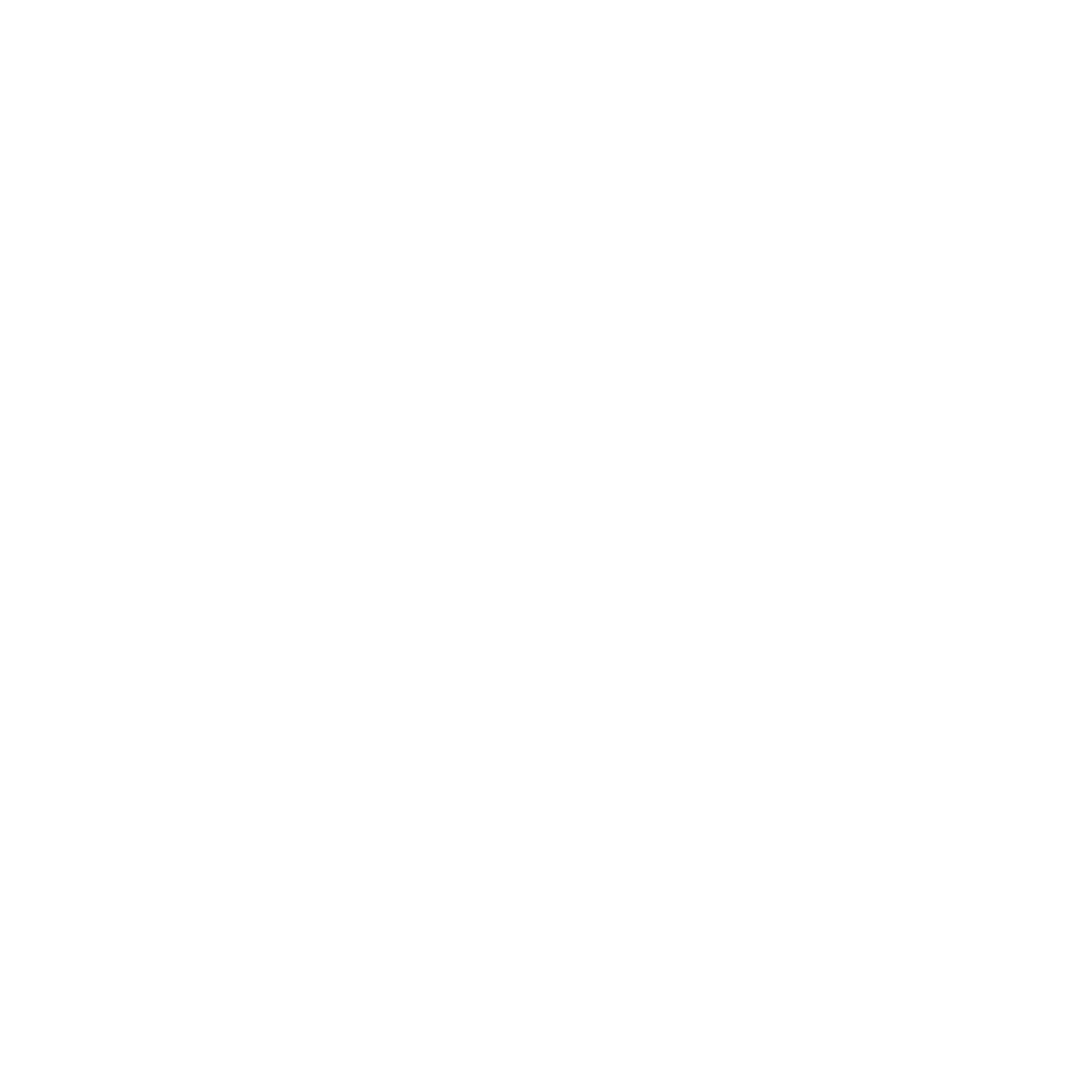 GITAM University